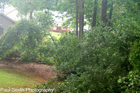 20230803  Storm Damage